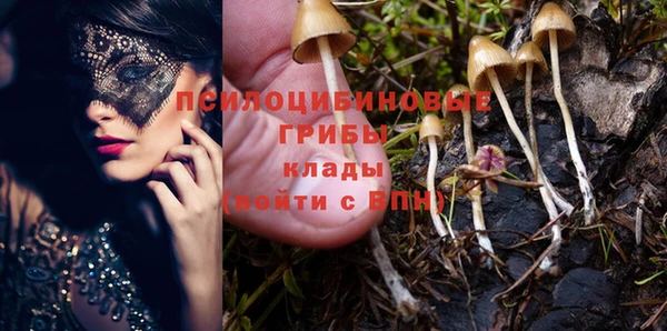 spice Аркадак
