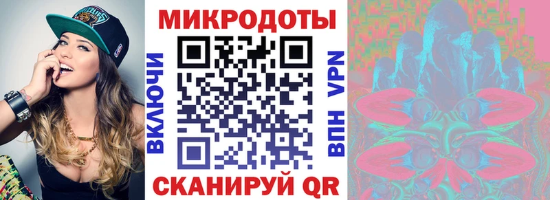 Галлюциногенные грибы Psilocybe  где можно купить наркотик  Сортавала 