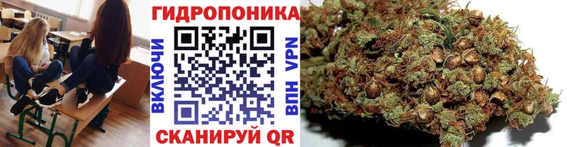 Марихуана тримм  Сортавала 